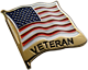 Veteran Pin